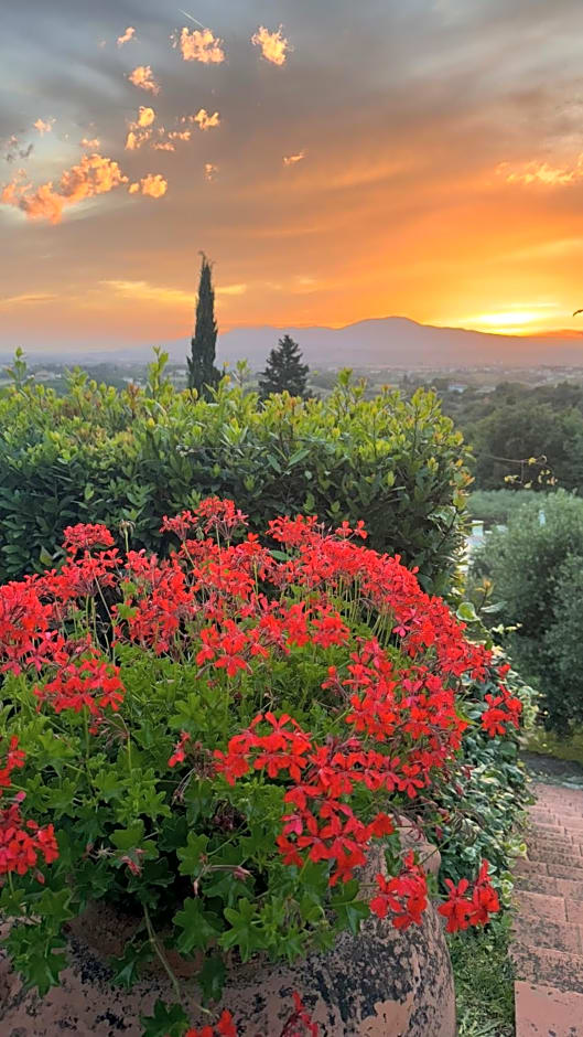 Agriturismo Cascina Cipressa