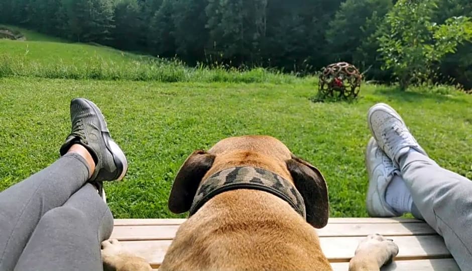 Seminar- und Erlebnishof Das schwarze Schaf