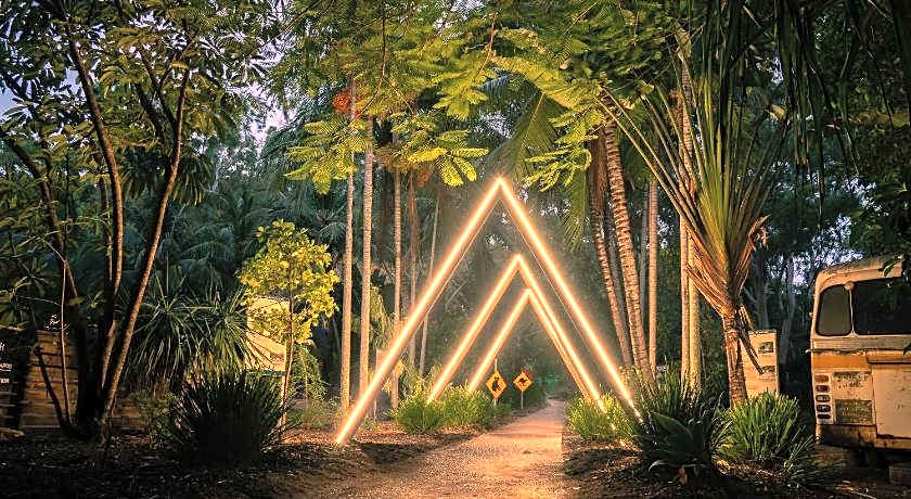 Koala Park by Bounce