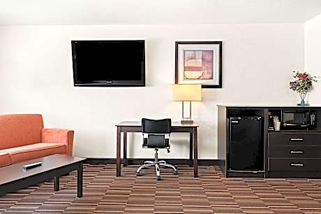 Suite-1 King Bed, Non-Smoking, Jacuzzi, Microwave And Refrigerator, Wet Bar, High Speed Internet Acc