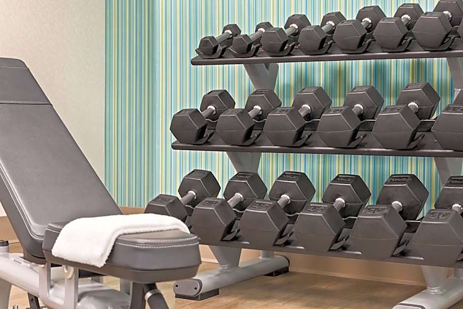 Holiday Inn Express & Suites Greenville-Downtown by IHG