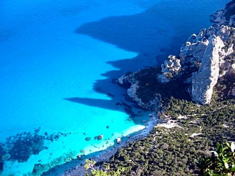 B&B Issicoro