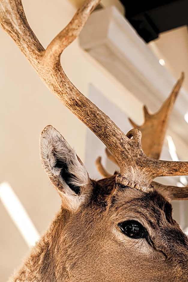 Hotel Hirschen am See