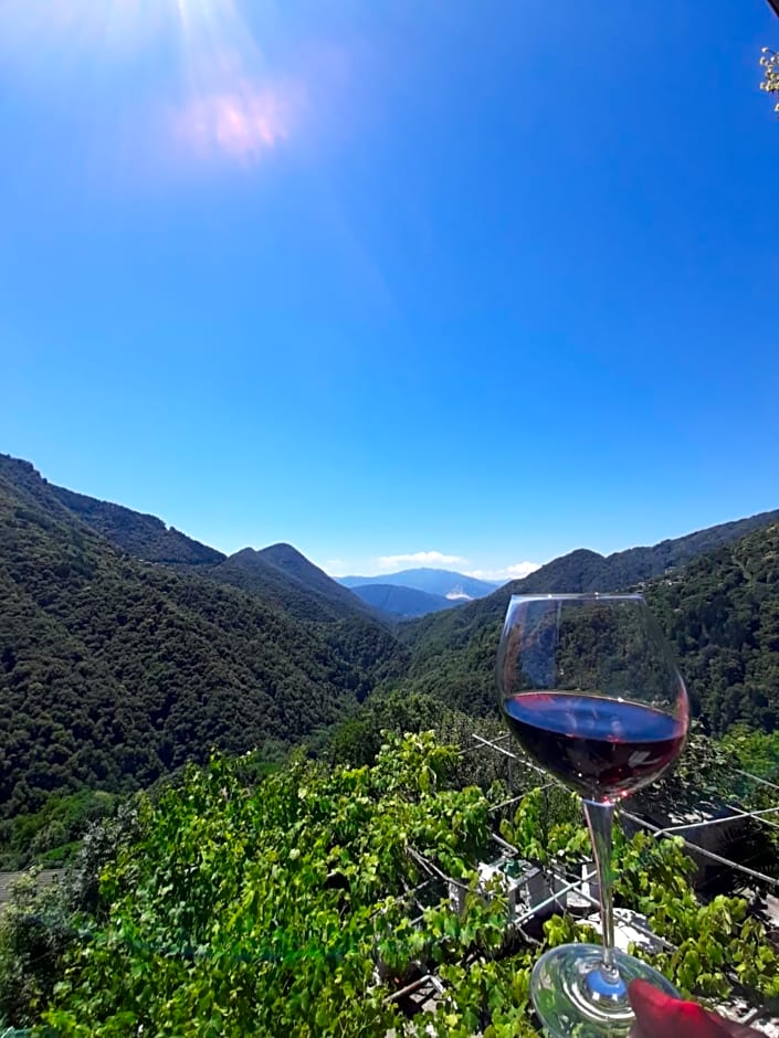 B&B La Locanda del Cinghiale