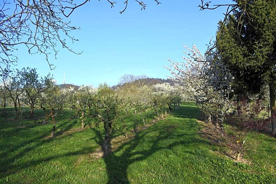 Chambres d'hôtes "La Petite Vallée"