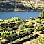 Sherwood Queenstown