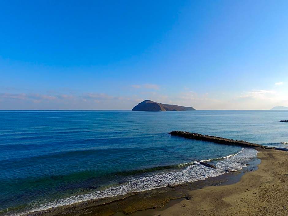 Alexia Beach Hotel