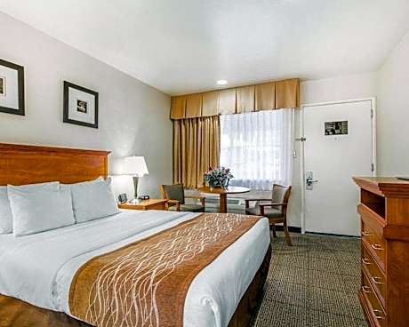 Standard Room with One Queen Bed - Non-Smoking