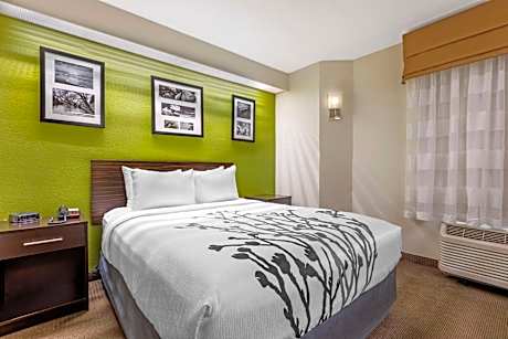 Queen Room - Non-Smoking