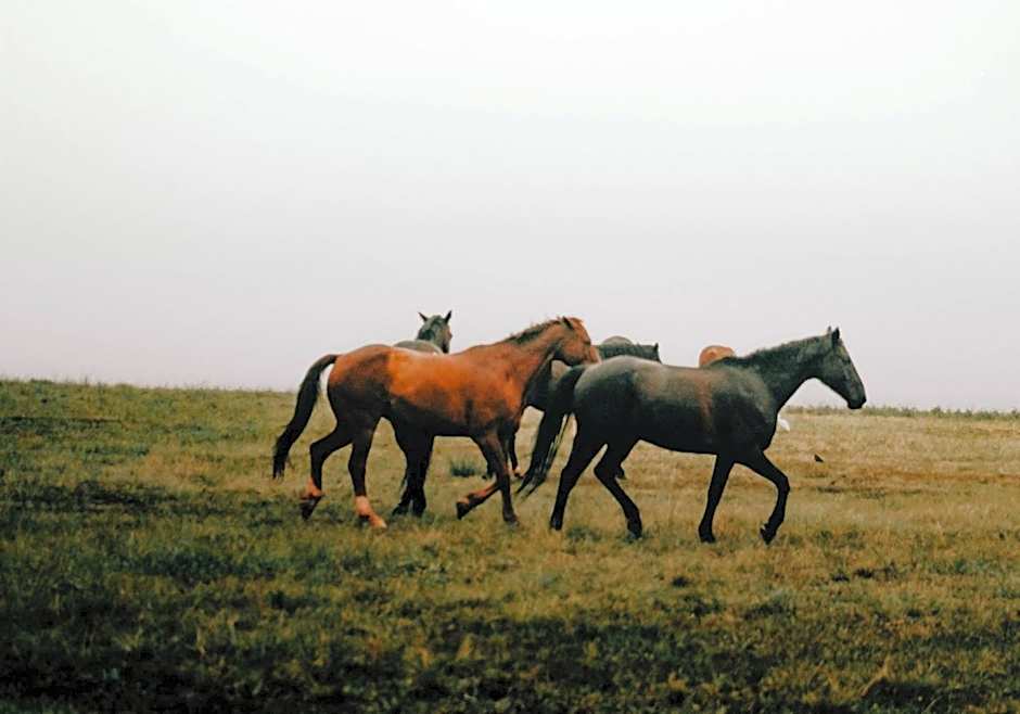 Montusi Mountain Lodge