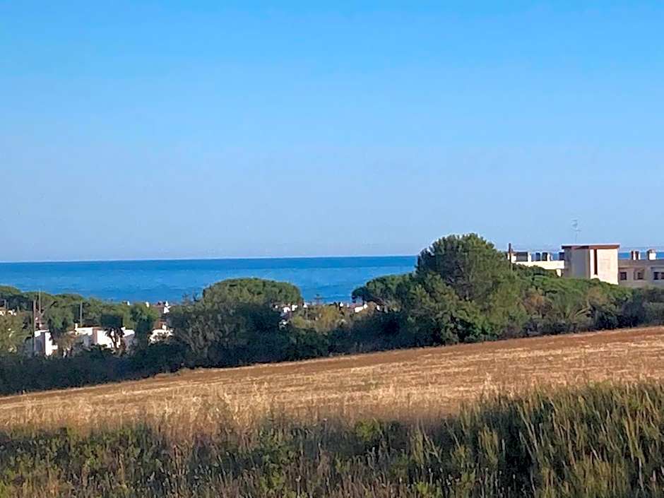 Le casette di Frà Studios