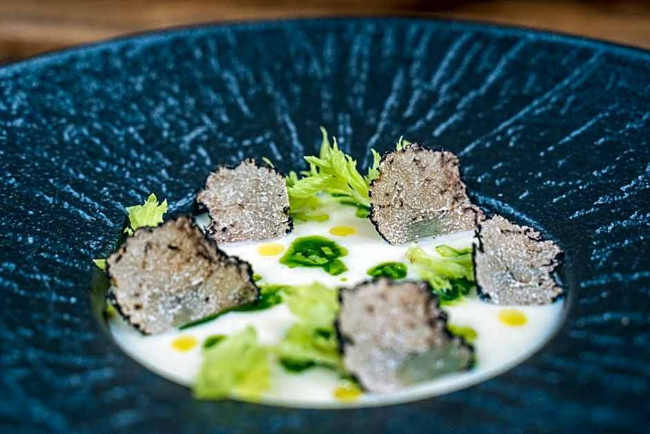 Srebrny Bucznik Wellness & Restaurant