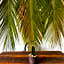 Hotel Jaiba Mahahual - Adults Only