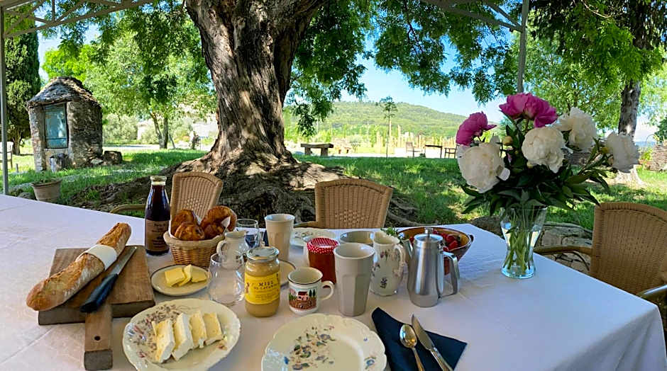 Le Domaine Saint Jean – St. Saturnin d'Apt, UT