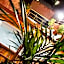 Villas y Suites Paraiso del Sur