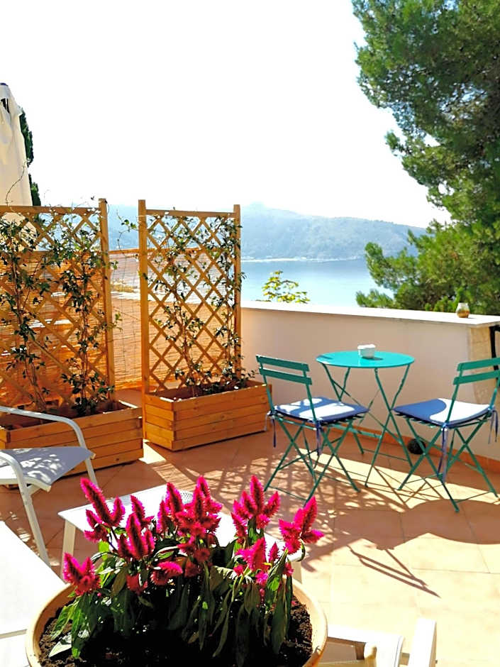 Il Sogno di Vincenzo e Maria