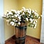 B&B La Rosa Blu