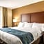 Comfort Inn & Suites Hannibal