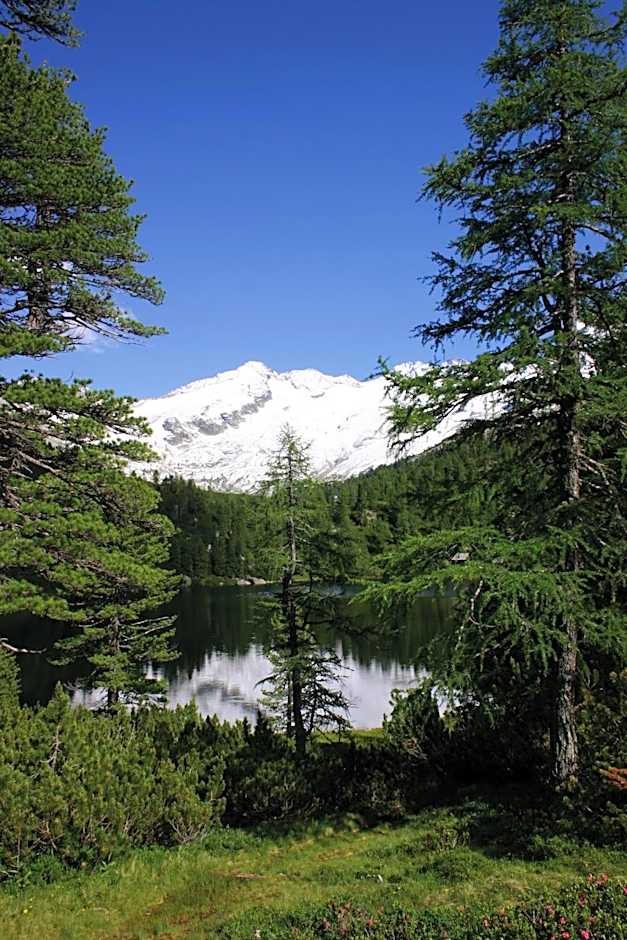 Villa Excelsior Hotel & Kurhaus