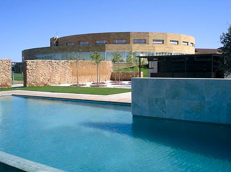 Hotel Bodega Pago del Vicario