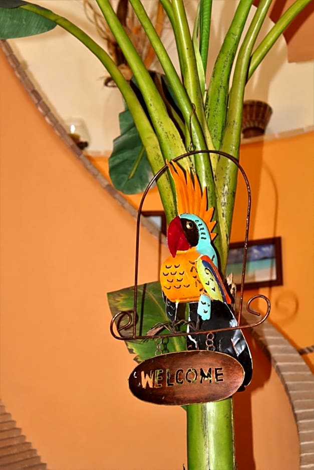 Antigua B&B
