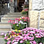 Hotel Nosal Ski & Wine