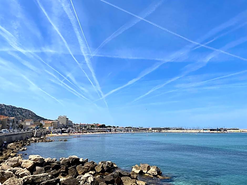 Balaena hébergement