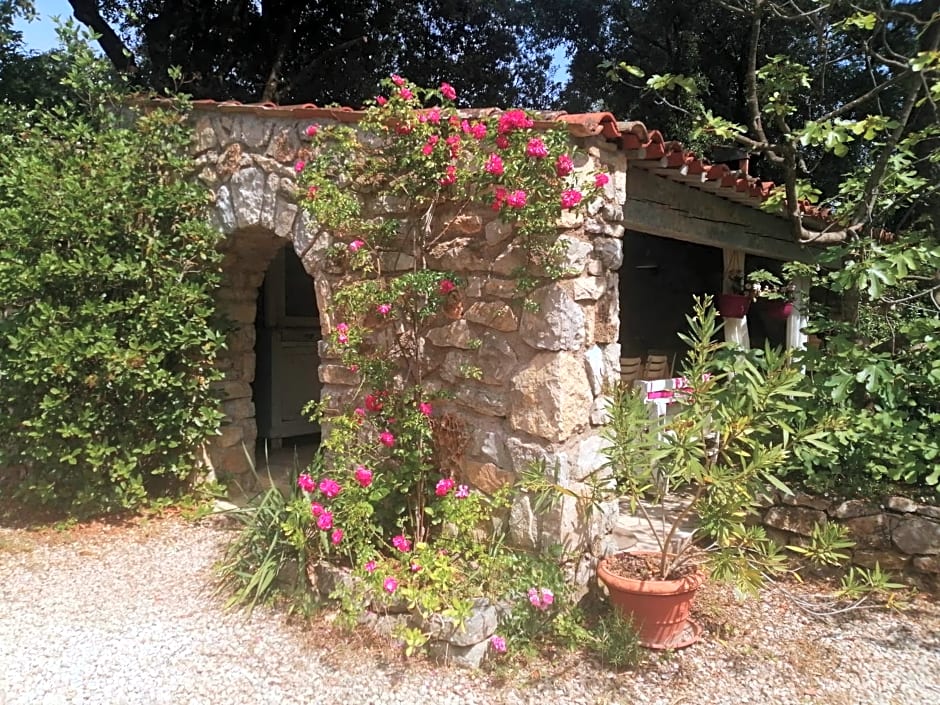 B&B Le Niaouli – Lorgues, ID