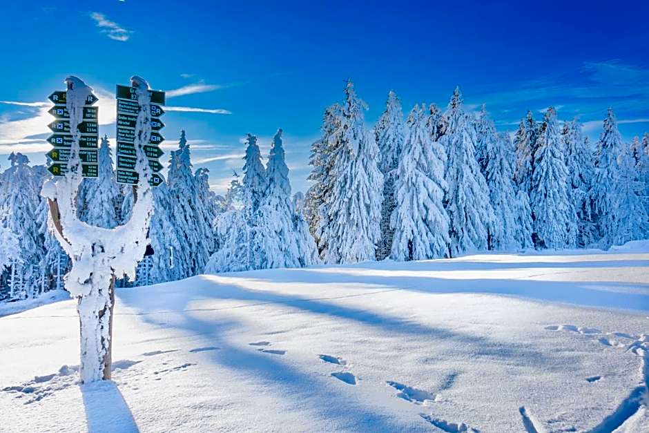 Chalet Sonnenhang Oberhof