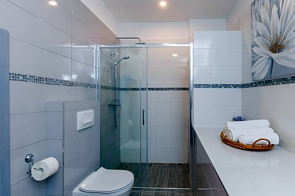 Big Terrace Apartment