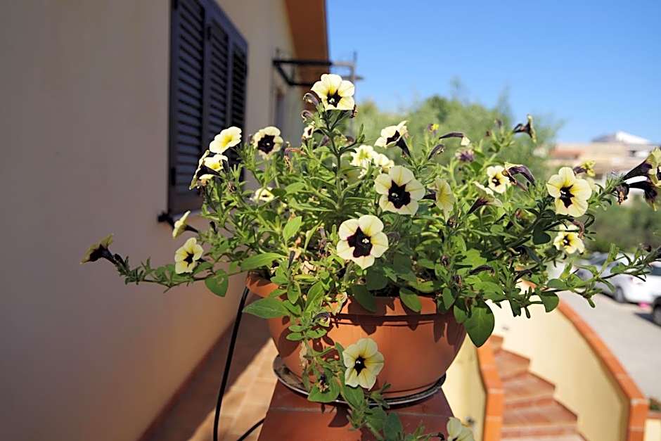 Balconcino sugli Ulivi