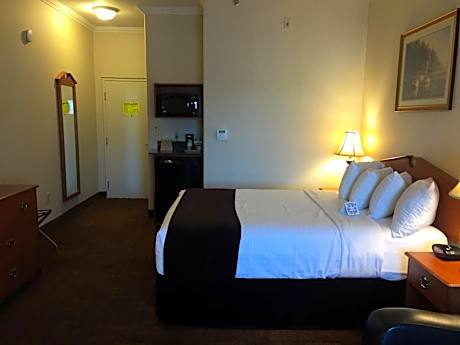 1 Queen Bed, Non-Smoking, High Speed Internet Access, Business Plus Room, Microwave And Refrigerator