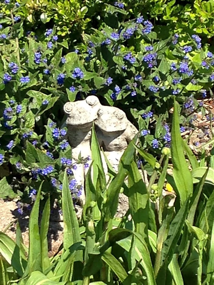 Rebels Hide -Self check in rooms