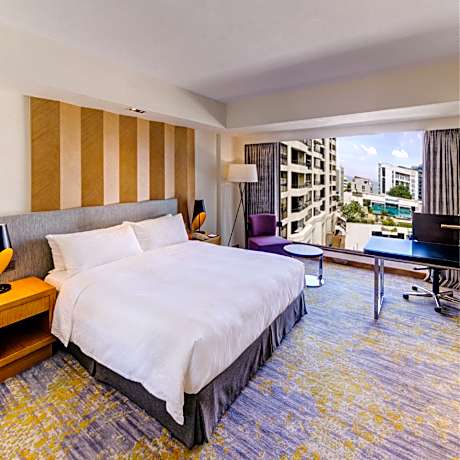 Premium King Double Room