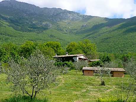 Il Bruco