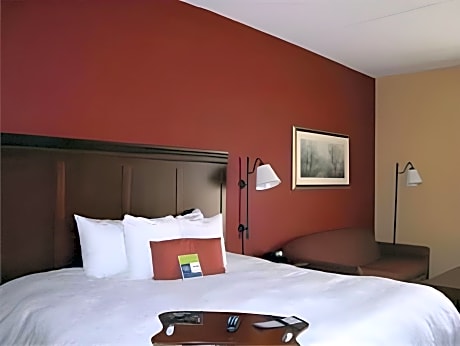Non-Smoking King Suite