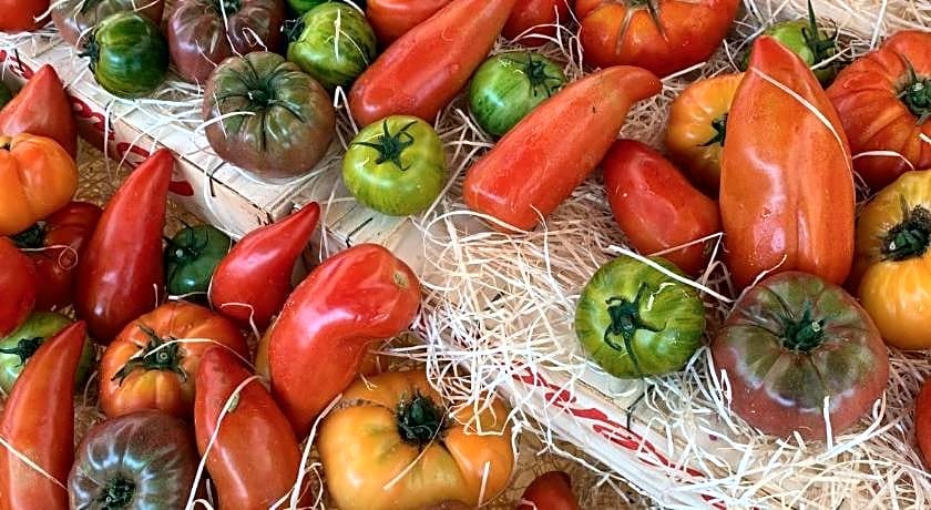 La Cigale Varoise - Hyères La Plage