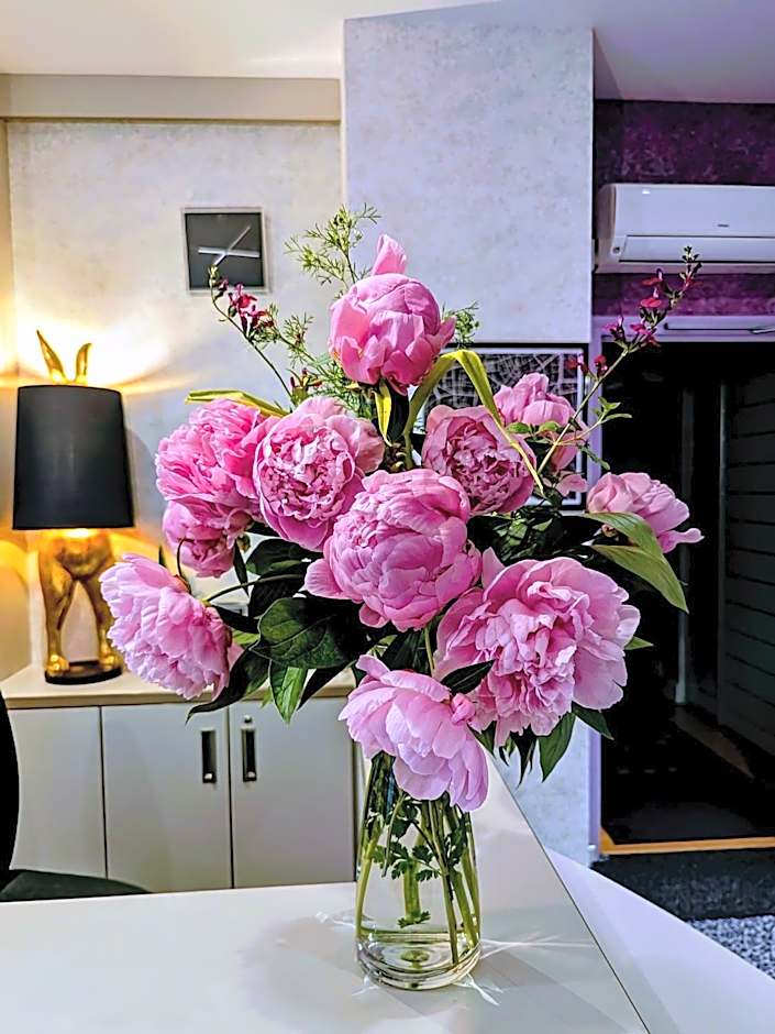 HOTEL ARVERNA VICHY - ClT'HOTEL