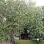 Stadshotellet Kristinehamn
