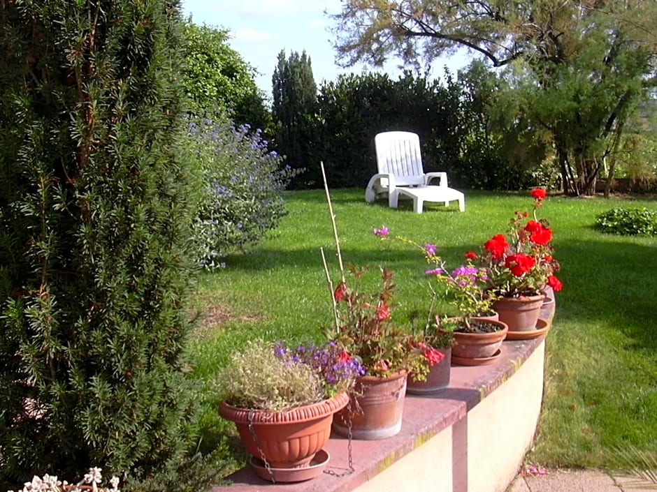 Vignoble