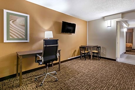 Efficiency King Suite - Non Smoking