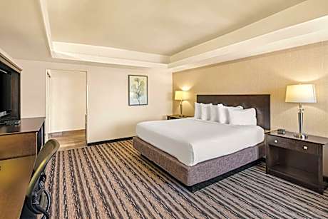 Best Western Coral Hills