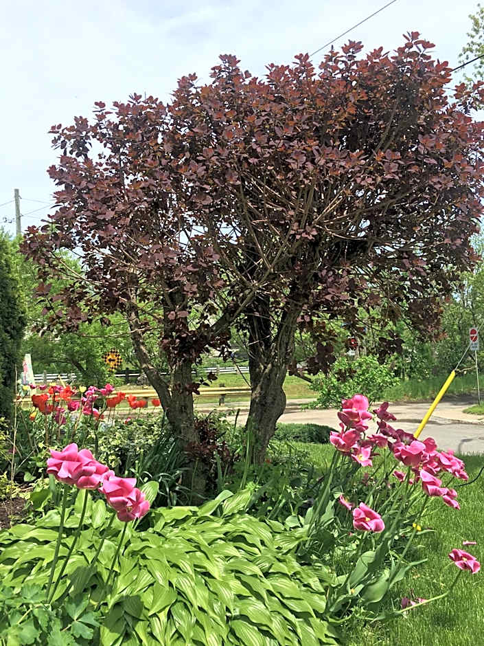 Strathaird Bed and Breakfast