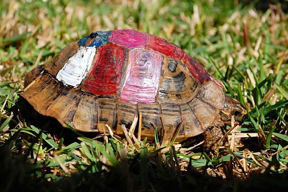 Hotel Dar Zitoune Taroudant