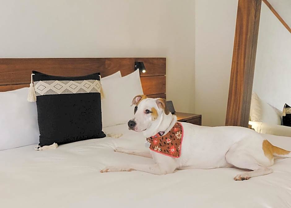 Kimpton Aluna Tulum By IHG