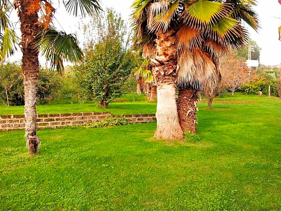 Luconi Affittacamere