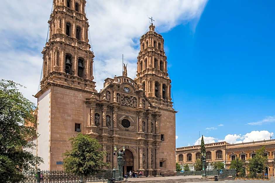 One Chihuahua Fashion Mall