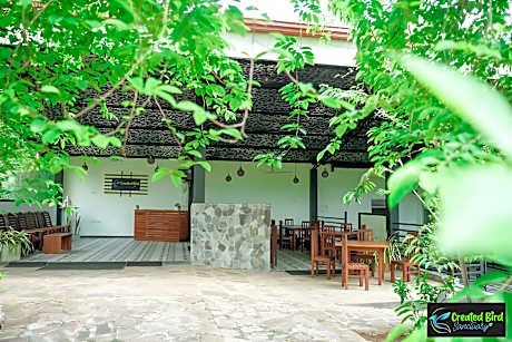 Created BIRD Sanctuary Resort