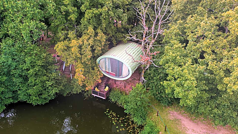 AKIS namelis medyje- Dinosaur Park