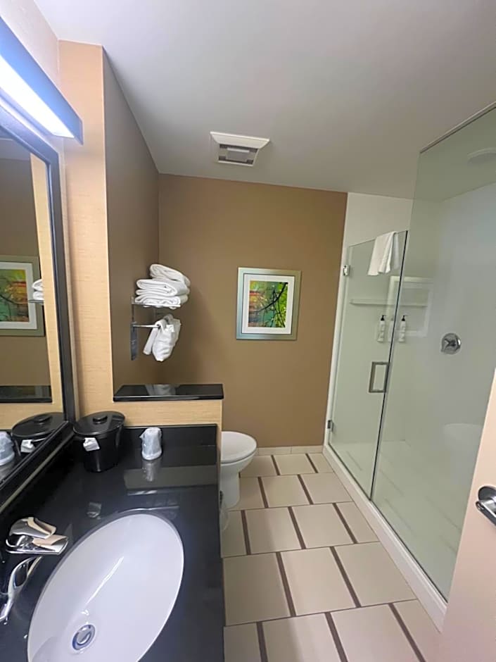 Fairfield Inn & Suites by Marriott Afton Star Valley